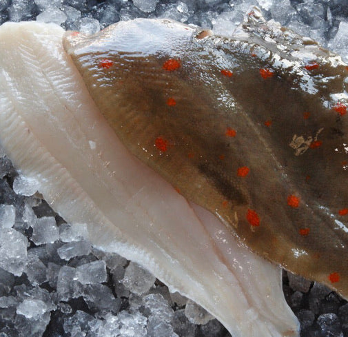 Plaice