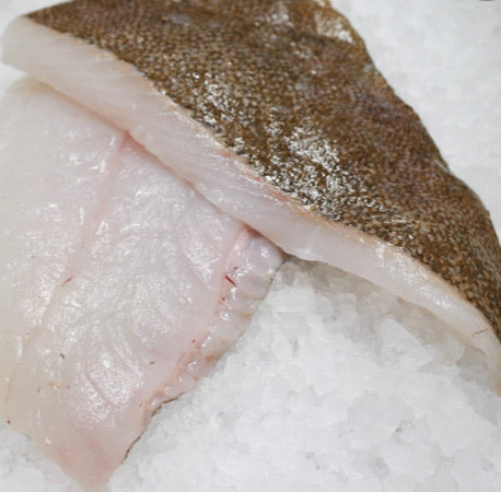 Brill Fillet