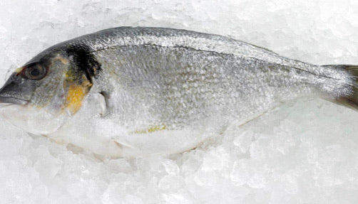 Sea Bream Fillets
